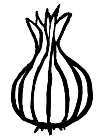 360x480 Return Policy Onion