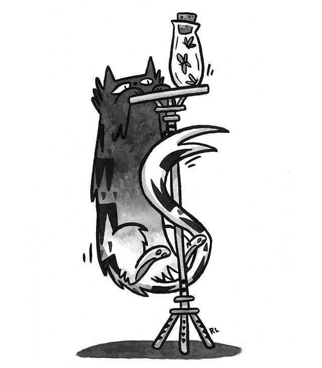 640x732 The Return Of Long Cat