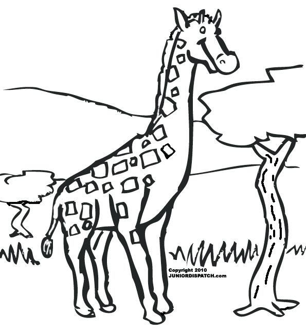 595x654 Giraffe To Color Printable Drawings And Coloring Pages Return