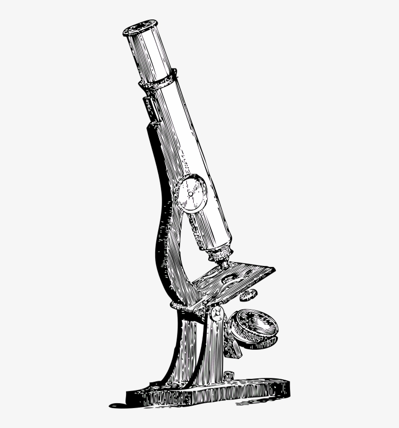 820x880 Drawing Of The Scientific Revolution Transparent Png