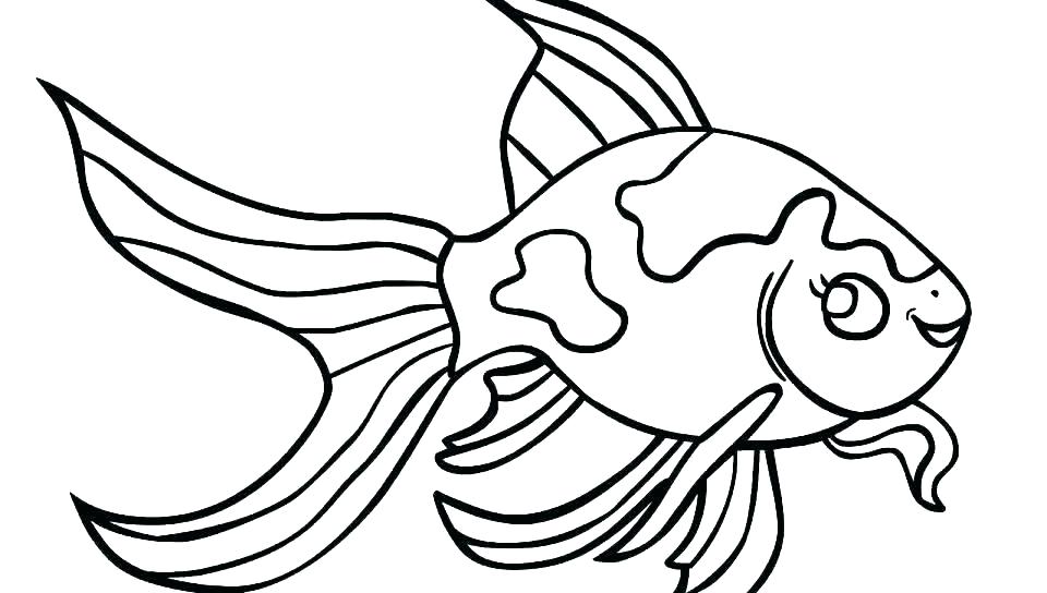 960x544 X Ray Coloring