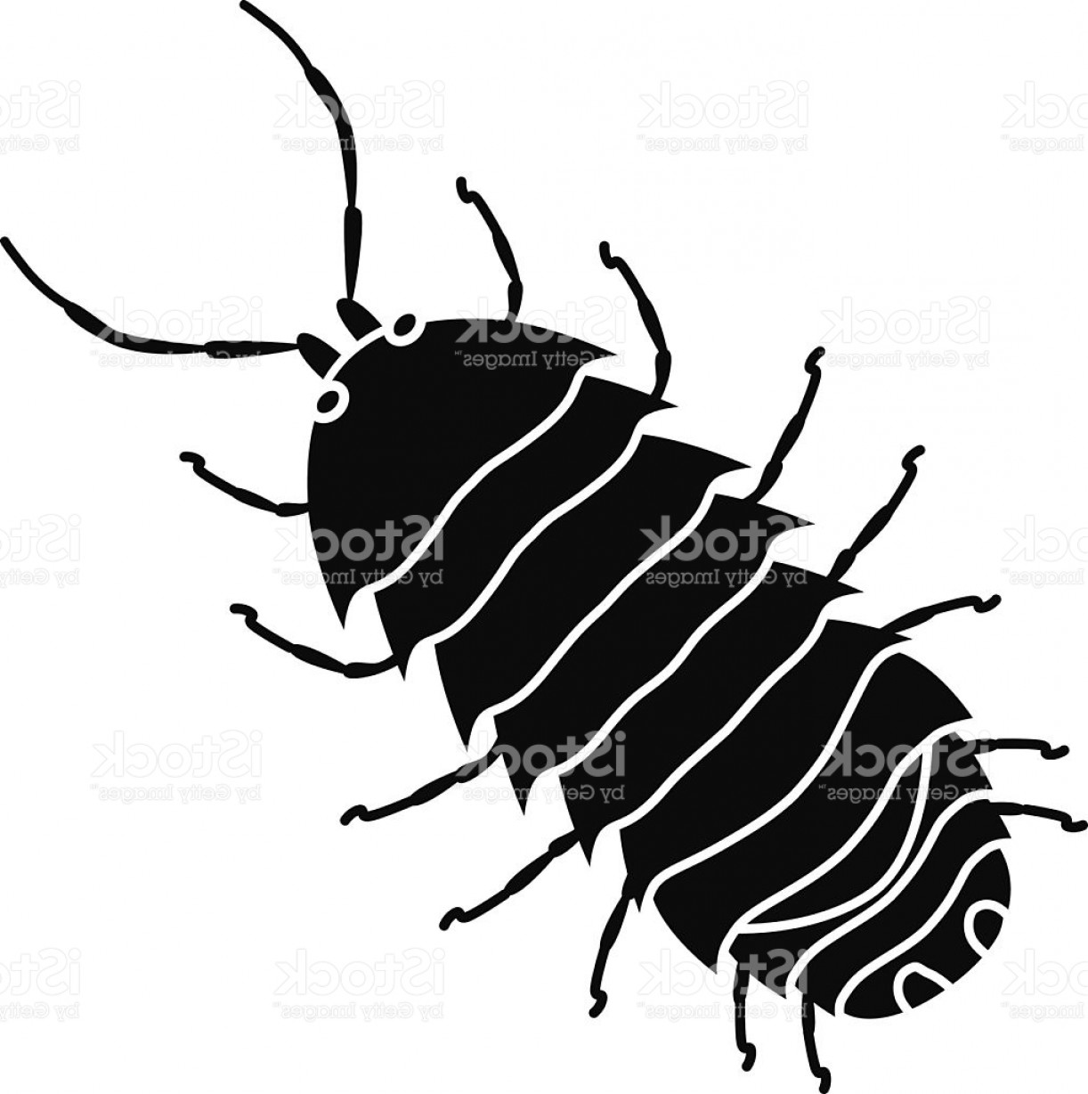 1222x1228 Bug Drawing Free Download