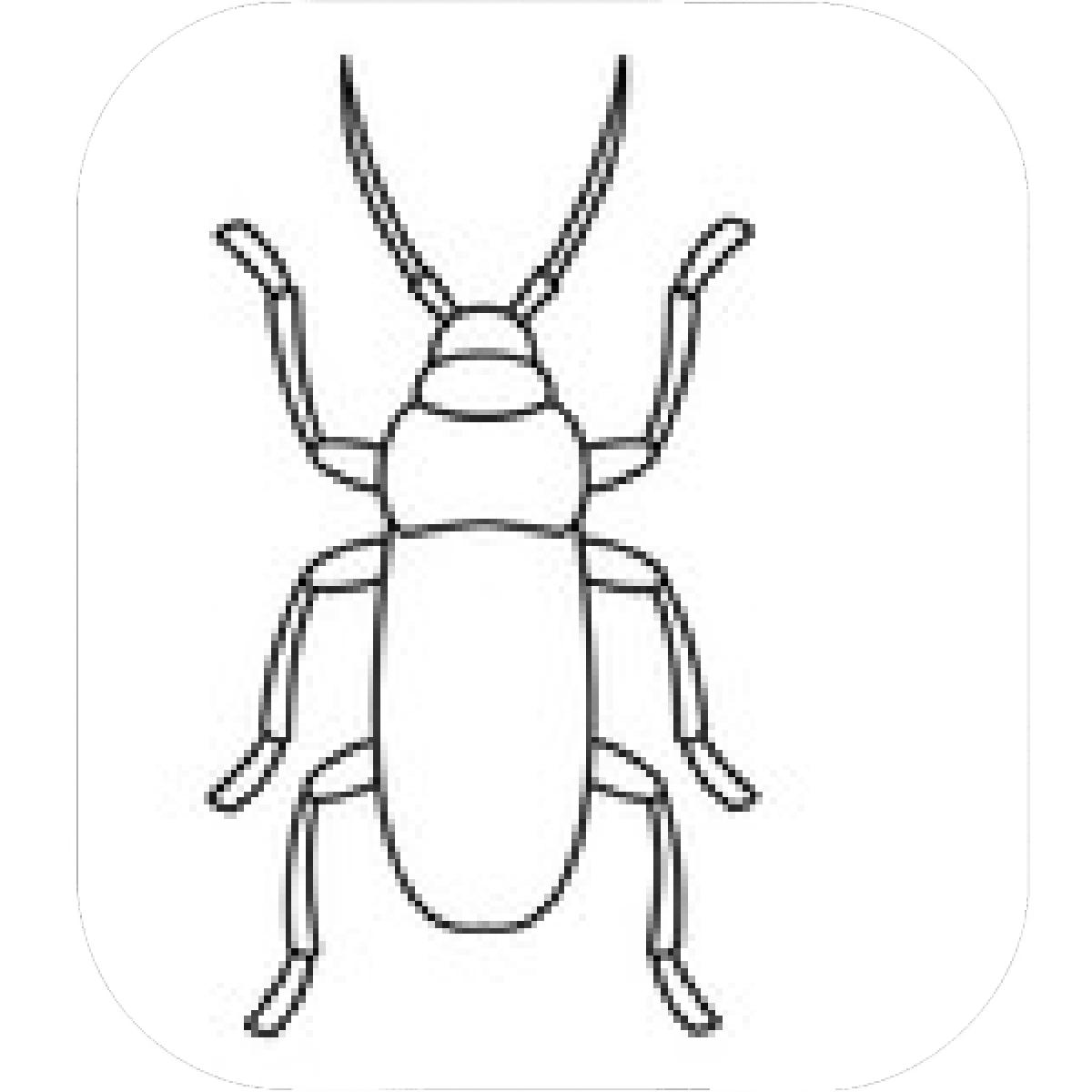 1200x1200 Designs Mein Mousepad Design Mousepad Selbst Designen