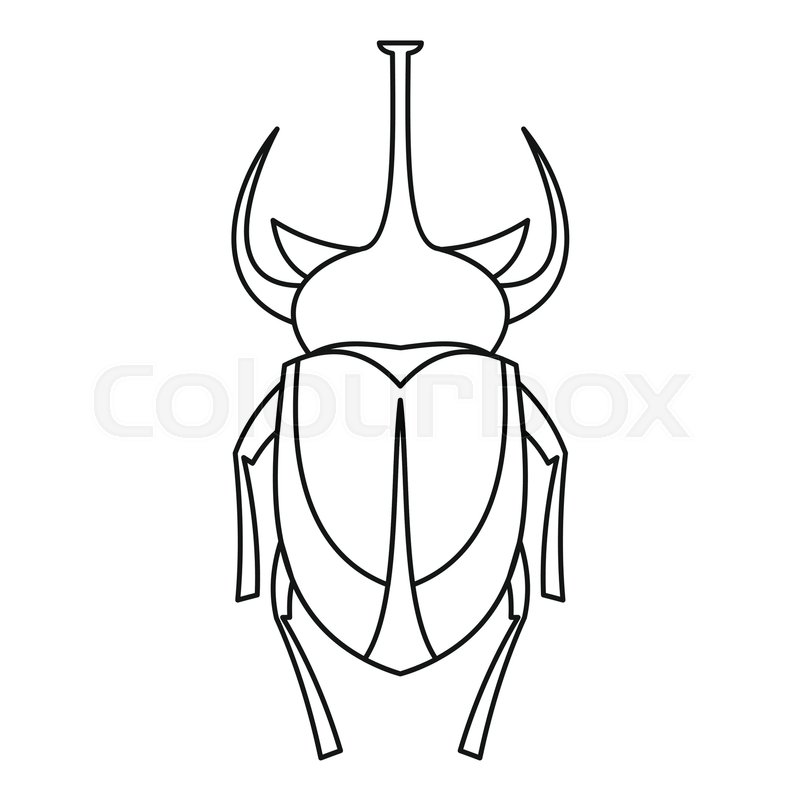 800x800 European Rhinoceros Beetle Icon Stock Vector Colourbox