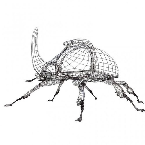 500x500 asset rhinoceros beetle rigged cgtrader