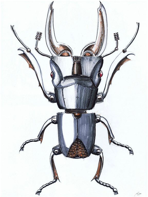 576x768 Original Beetle Mechanical Insect Concept Drawing