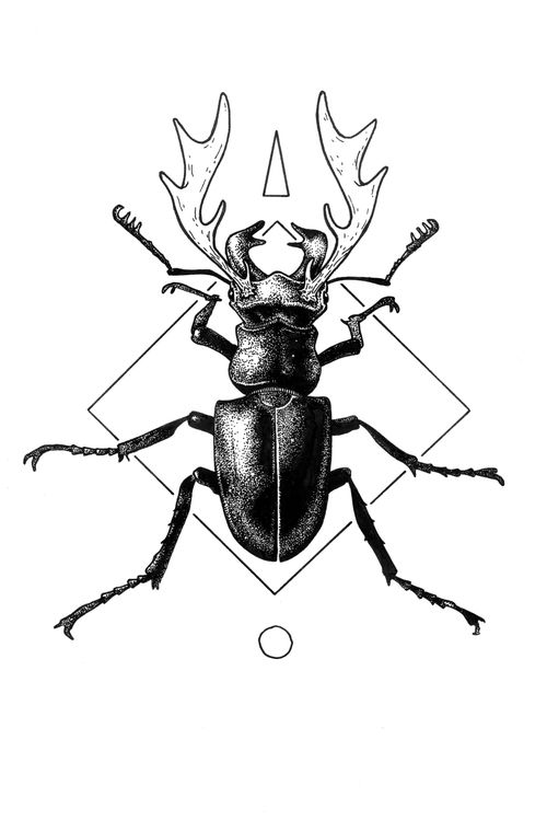 500x750 Illudrawinglinework Beetle Tattoo, Art