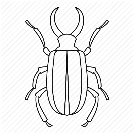 512x512 Beetle, Bug, Cervus, Insect, Line, Lucanus, Outline Icon