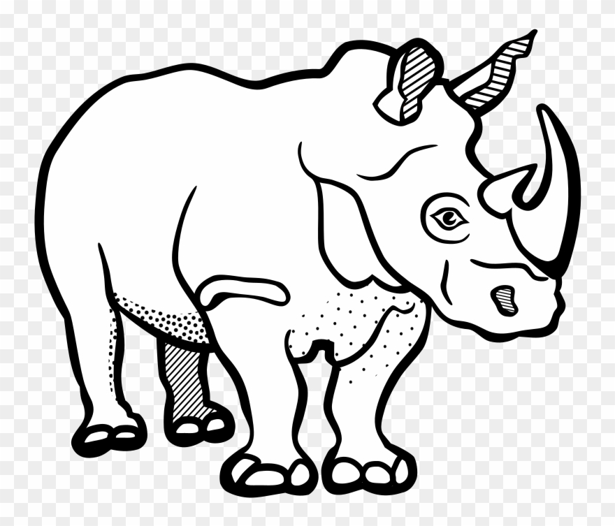 880x753 Rhinoceros Drawing Line Art Black And White Color