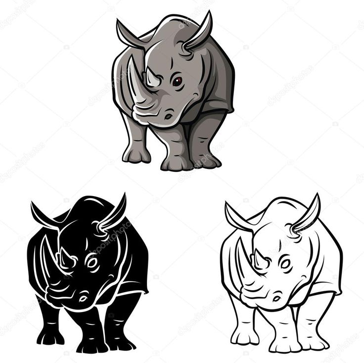736x733 Cartoon Rhino Pictures Group With Items