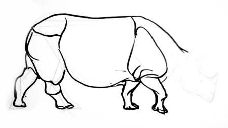 450x254 How To Draw A Rhinoceros