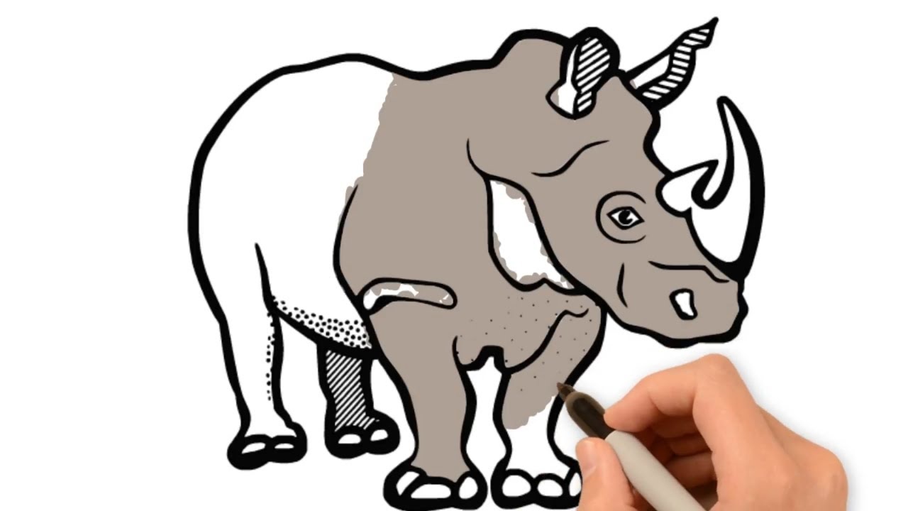 1280x720 Rhino Drawing And Coloring For Kids Coloring Pages To Learn