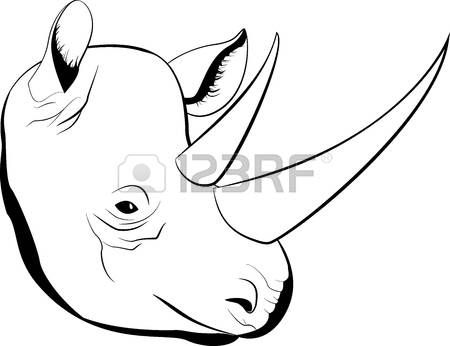 450x346 Stock Vector Rhinoceros African Rhino, Line Sketch, Sketches