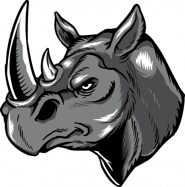 626x633 Rhino Head Vectors, Photos And Free Download