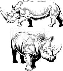 211x239 rhino head drawing outline ile ilgili sonucu rhinoceros
