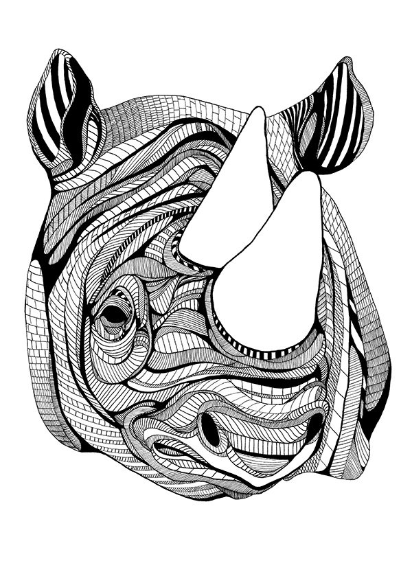 600x849 African Rhino On Student Show