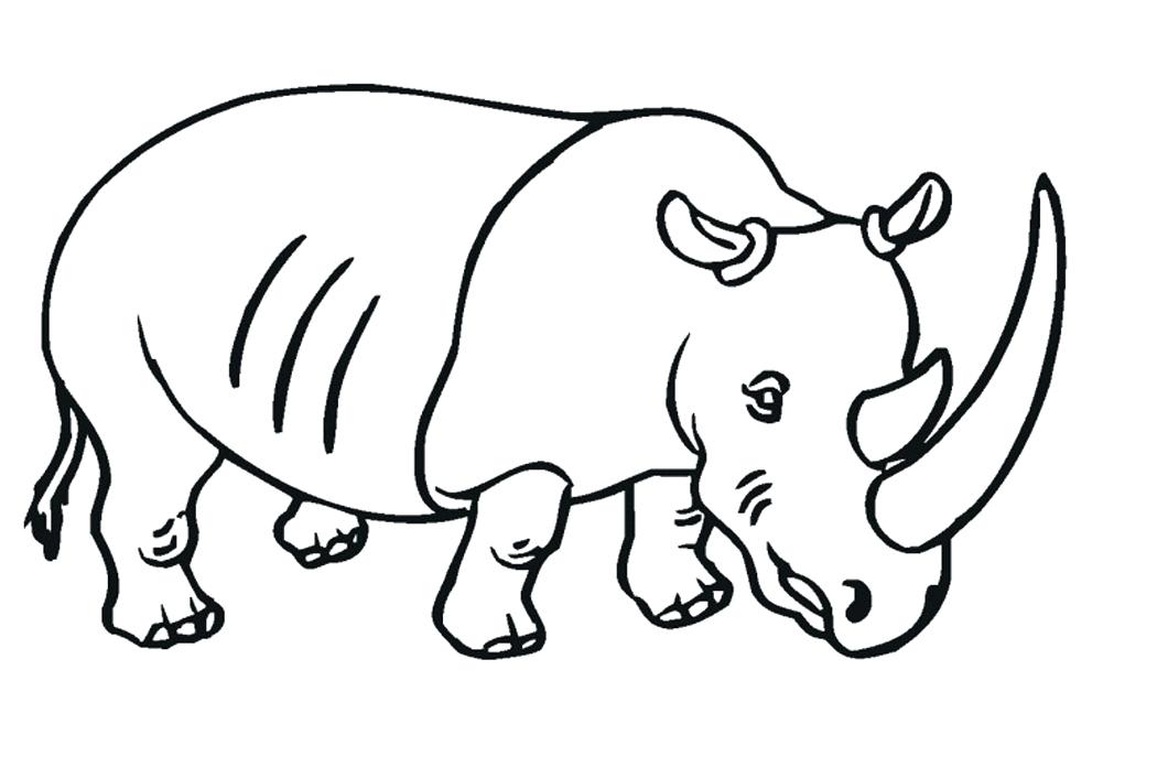 1050x706 rhino coloring pages rhino coloring
