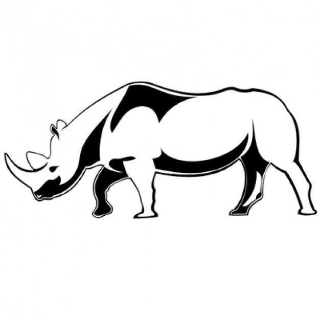 626x626 Rhino Vectors, Photos And Free Download