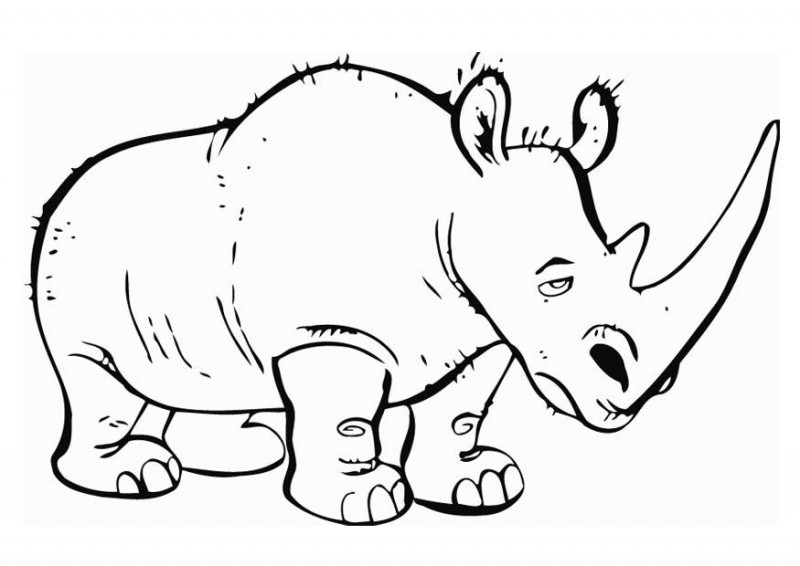 800x566 Tired Animated Outline Rhino Tattoo Design