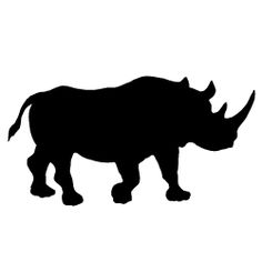 236x236 best rhino images in rhinos, drawings, rhino art