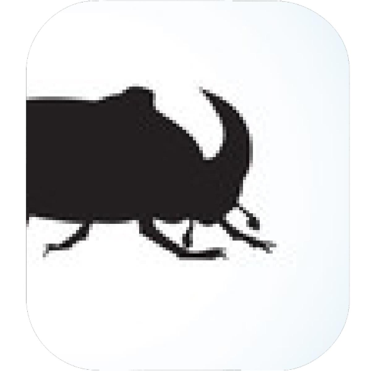 1200x1200 Designs Mein Mousepad Design Mousepad Selbst Designen