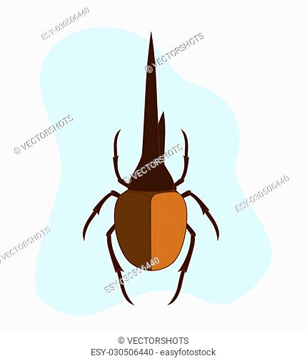 430x506 Drawing Hercules Beetle Insect Stock Photos And Images Age Fotostock
