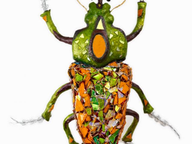 640x480 Drawn Beatle Rhinoceros Beetle