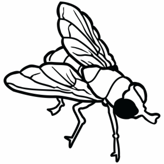 320x320 Hd Black Horse Fly Transparent Png