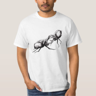 307x307 Rhinoceros Beetle Gifts On Zazzle Ca