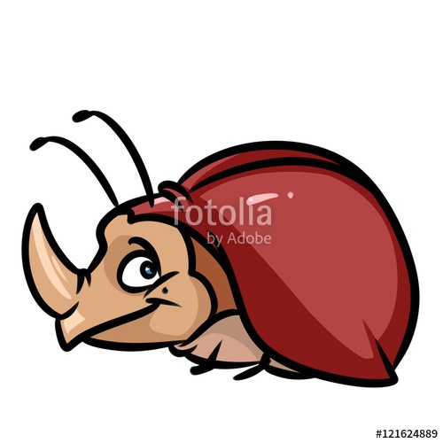 500x500 Rhinoceros Beetle Insect Cartoon Illustration Isolated Image