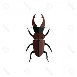 300x300 Stock Photo Stag Beetle Engraved Vintage Hand Drawn