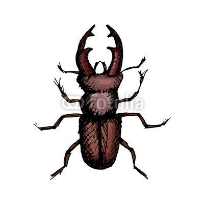 400x400 Vector Illustration Of A Stag Beetle Drawn