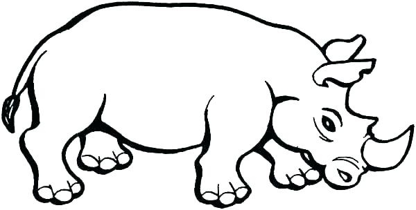 600x304 rhino coloring pages full size of rhino colouring pages printable