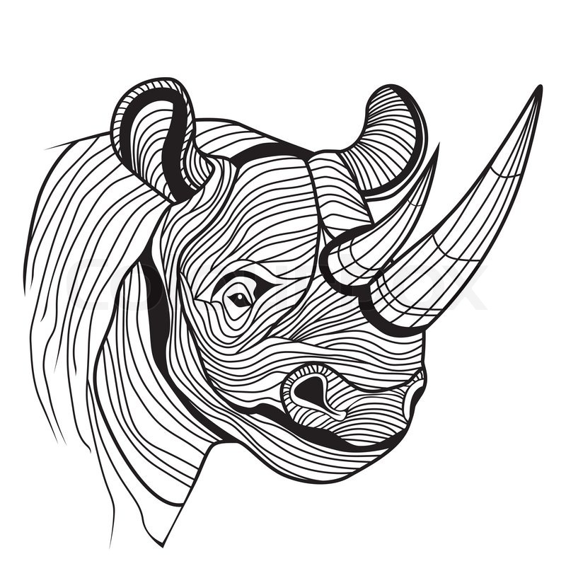 800x800 Rhino Rhinoceros Animal Head As Symbol Stock Vector Colourbox