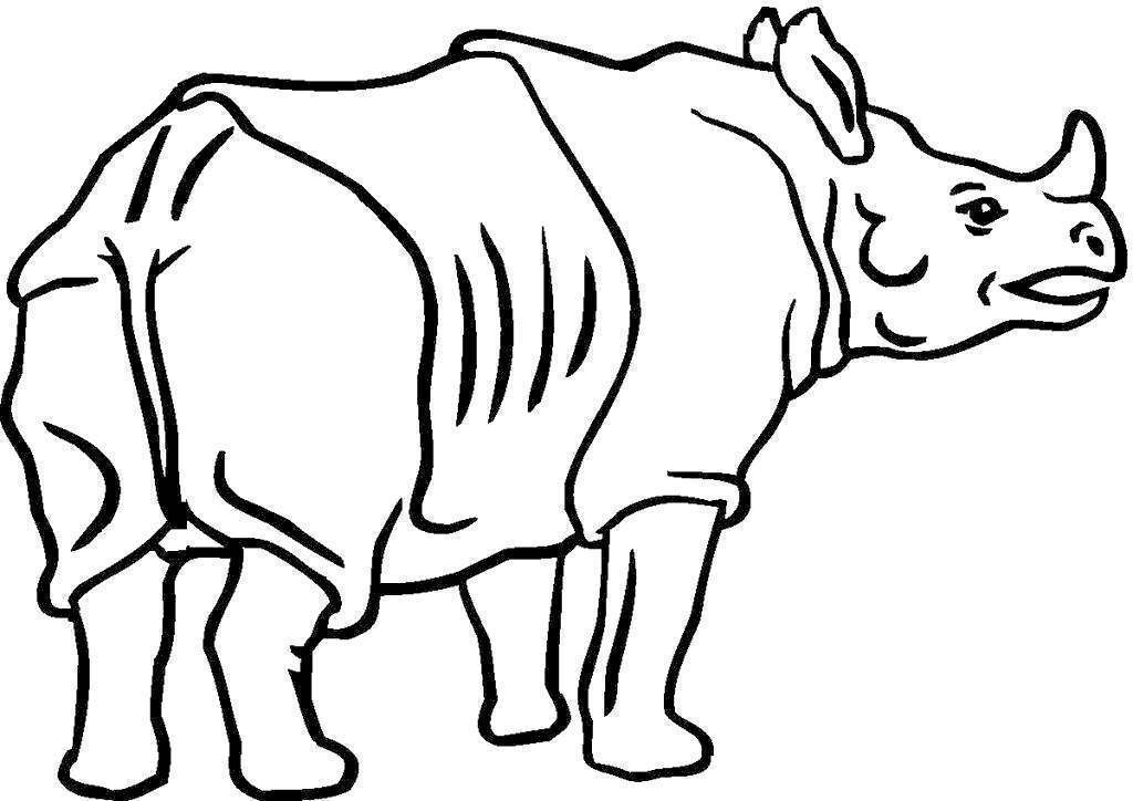 1024x724 Rhinoceros Coloring Pages Perspective Rhino
