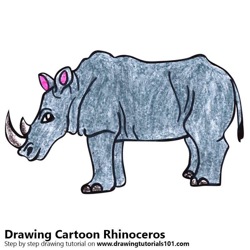 800x800 Cartoon Rhinoceros Drawing Tutorials Drawings