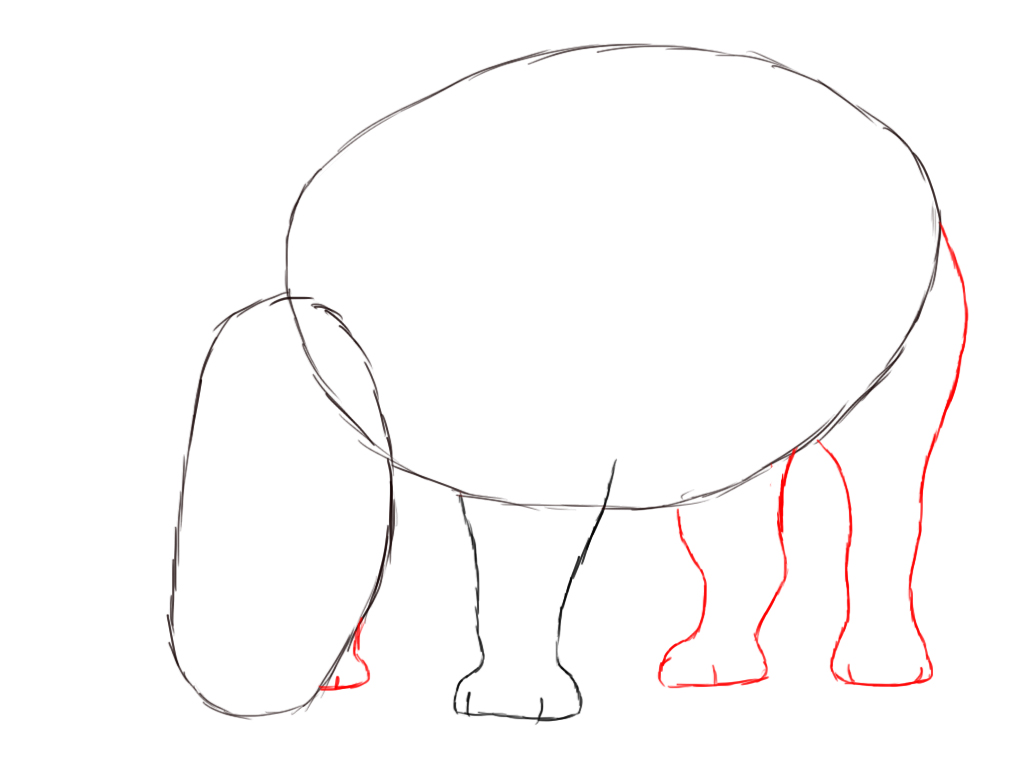 1024x768 How To Draw A Rhino