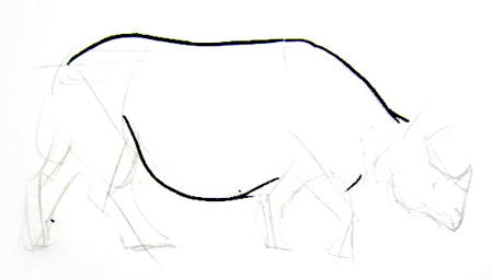 449x255 How To Draw A Rhinoceros