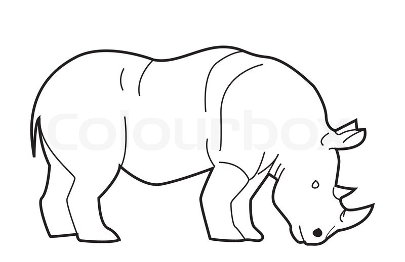 800x519 Rhino Stock Vector Colourbox