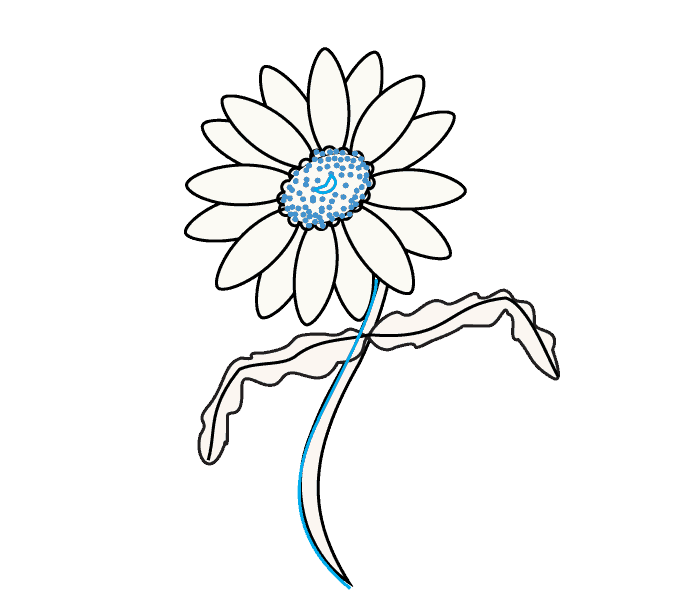 678x600 Huge Collection Of 'flower Daisy Drawing' Download More Than