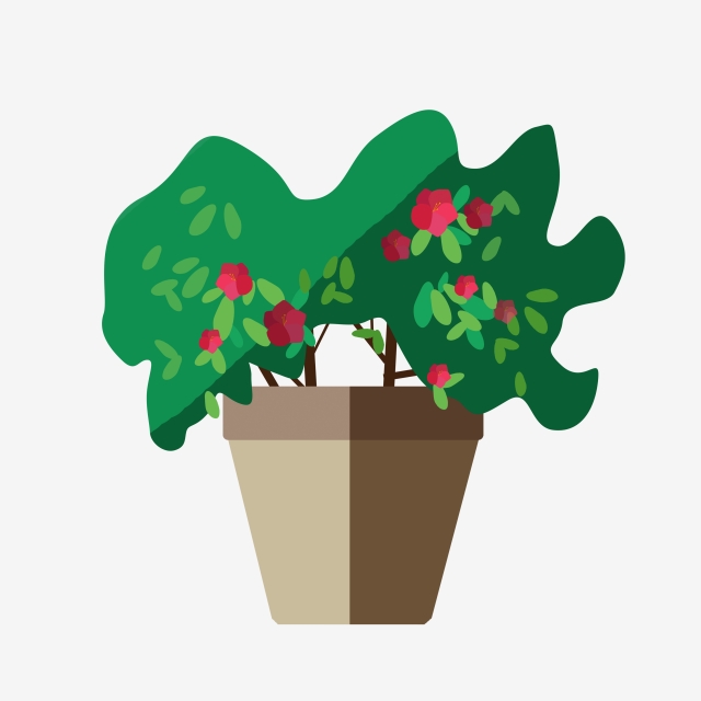 640x640 Red Little Flowers Potted Illustration Beautiful Flower Pot Green