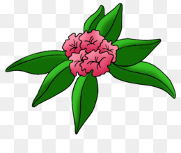 260x220 Rhododendron Flower Png