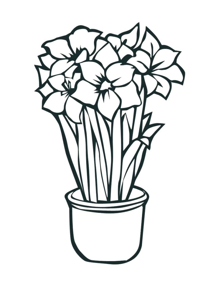 722x1024 tropical flower coloring pages tropical flower coloring pages