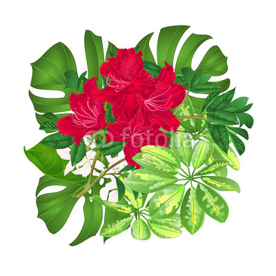 400x400 Bouquet With Tropical Flowers Floral Arrangement, With Beautiful