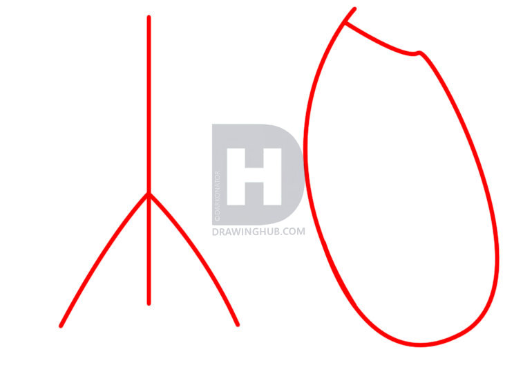 757x538 How To Draw A Rib Cage, Step