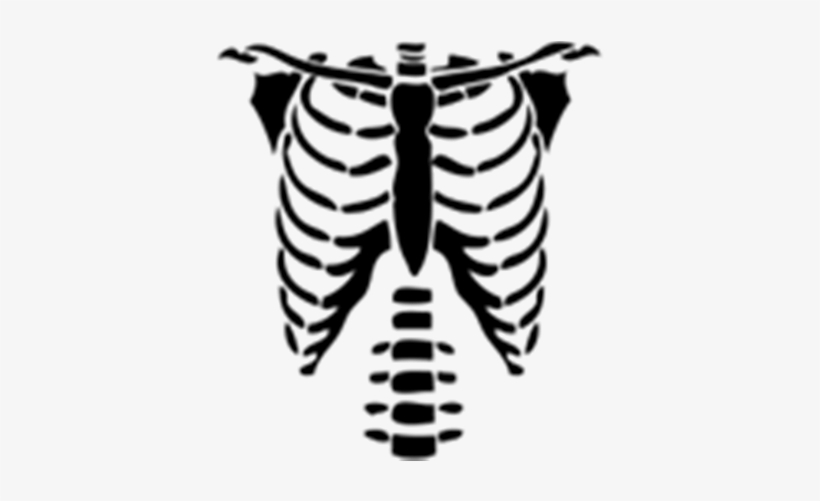 820x501 Beautiful Rib Cage Cartoon Skeleton Torso Halloween