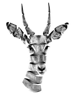 236x307 Best Ribbon Drawing Videos Images Drawing Ideas, Drawing