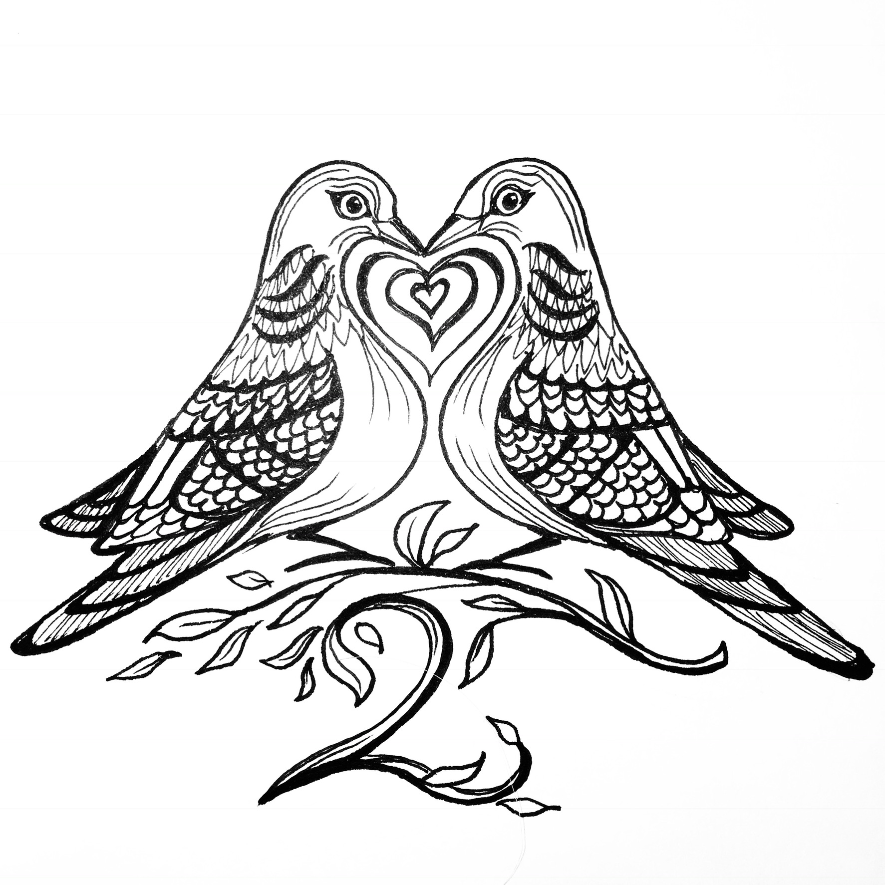 1773x1773 Dove Drawing Shading For Free Download