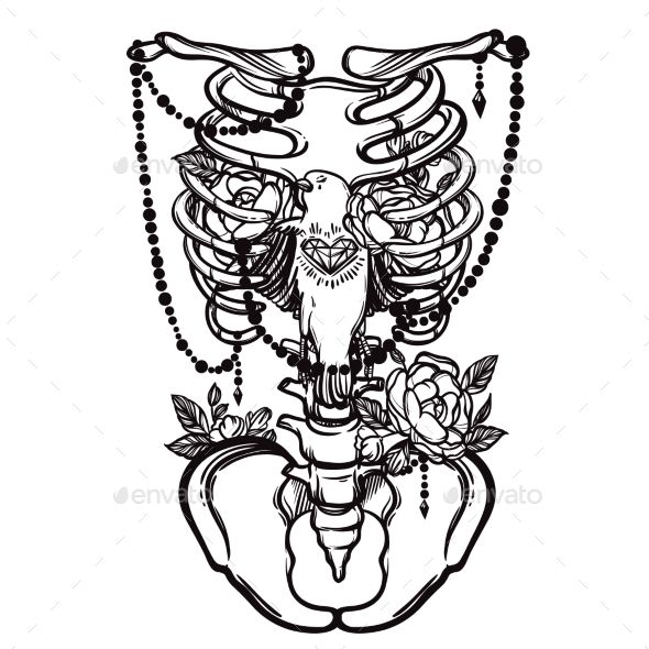 590x590 Skeleton Ribs, Bird And Flowers Vintage Vector