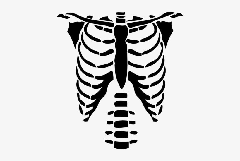 820x550 Skeleton Ribs Drawing At Getdrawings